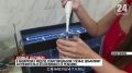 Живые датчики: севастопольские учёные отслеживают загрязнения Чёрного моря с помощью медуз