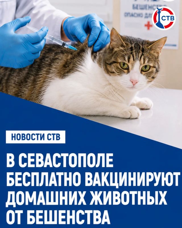 В субботу, 22 августа, Государственная ветеринарная служба проведёт выездную вакцинацию собак и кошек в Нахимовском районе