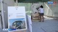 В Алупке состоялся первый симпозиум скульпторов