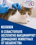 В субботу, 22 августа, Государственная ветеринарная служба проведёт выездную вакцинацию собак и кошек в Нахимовском районе