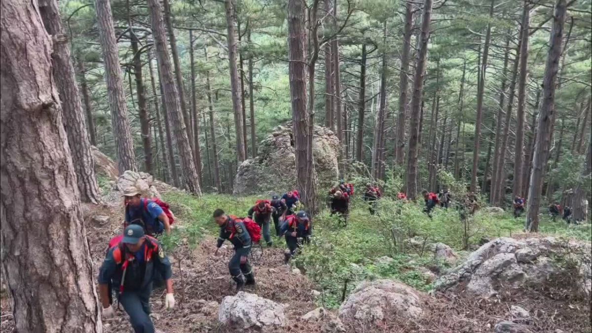 В Ялте продолжают тушить лесной пожар — МЧС