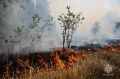 Чрезвычайная пожарная опасность сохранится в Крыму и Севастополе до 27 августа