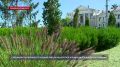 �� ������� ���������� �������� �������� ���� �� ����������
