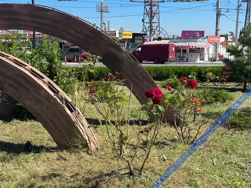 На площади Восставших продолжаются сезонные работы по уходу за зелёными насаждениями