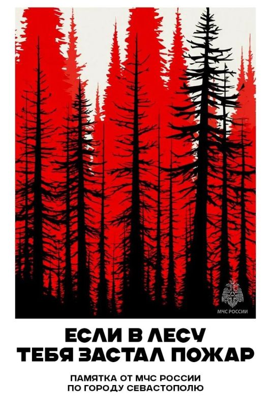 Лесной пожар рядом: что делать, если вы заметили возгорание на природе?