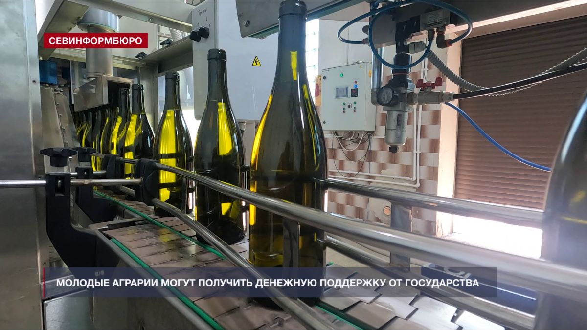 В винодельческом хозяйстве «Усадьба Перовских» работают 20 молодых специалистов