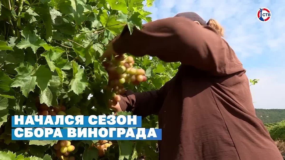 Депутаты Заксобрания единогласно поддержали поправки по снижению нагрузки на бизнес