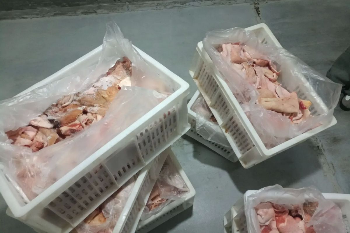 В Севастополе уничтожили почти две тонны небезопасного мяса