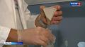 Учёные раскрыли состав неизвестной серо-белой массы в бухтах Севастополя