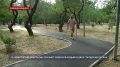 В двух городских парках Севастополя бесплатно обучают северной ходьбе