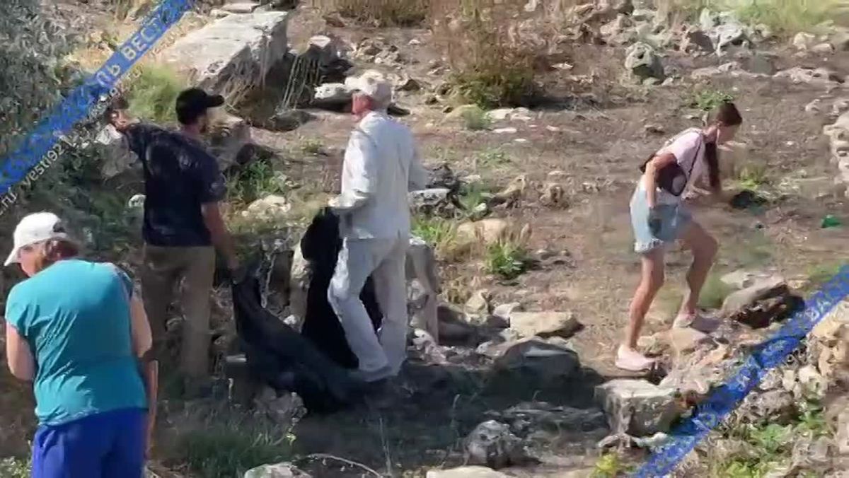 В районе усадьбы девятого надела хоры Херсонеса Таврического состоялся субботник