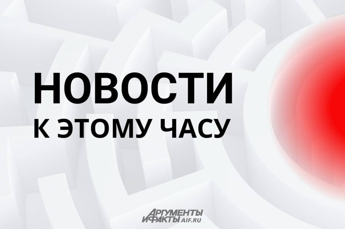 Путин созвонился с Лукашенко и поздравил его с днем рождения