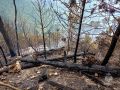 Лесной пожар в Ялте может вновь охватить потушенные зоны