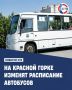 С 1 сентября автобусы №29 и №31 будут ходить по новому графику