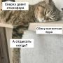 ������� ��������� ���� �� ������: ������ ������������� � ������� ���������