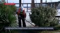 �� ���������� ����� ������ � ����������� �������� �������� ���� �� ������� ������������