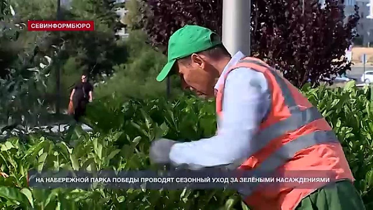 Пальмы — под обрезку, почву — разрыхлить: на набережной Парка Победы готовят растения к холодному сезону
