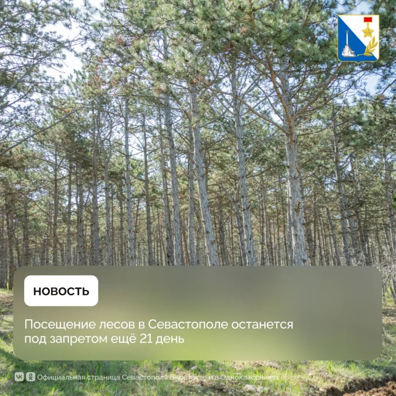 В Севастополе продлили запрет на посещение лесов