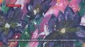 Выставка «С любовью в сердце» открылась в библиотеке им. Л. Толстого