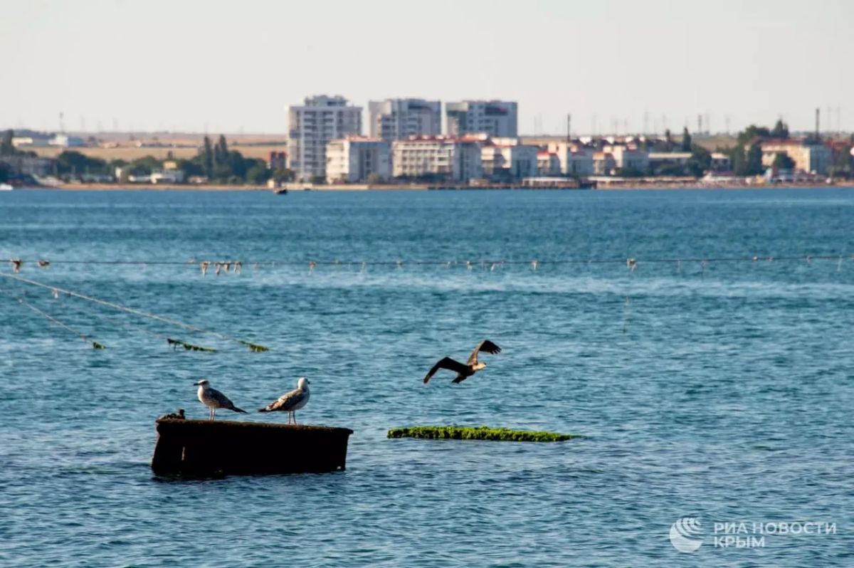 Прогноз погоды в Крыму на пятницу