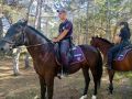 Конная полиция патрулирует леса Севастополя