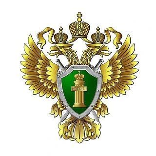 В Севастополе прокуратура добилась назначения реального лишения свободы вместо условного осуждения по уголовному делу о мошенничестве ___