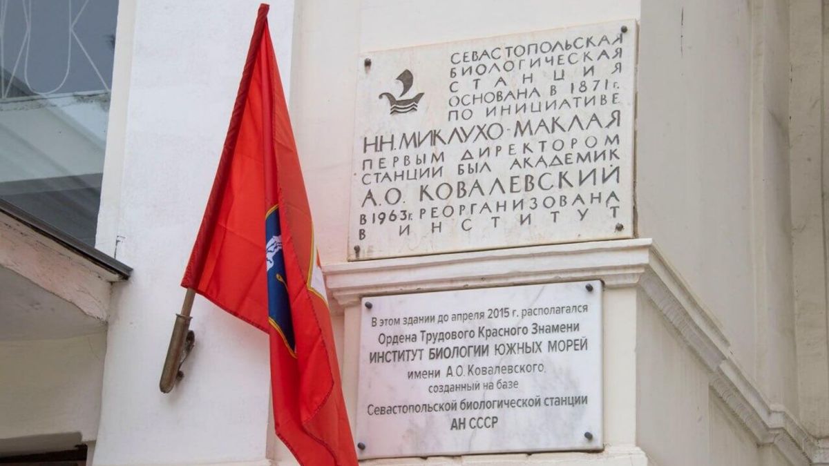 Сотни ученых из России и зарубежья участвуют в конференции в Севастополе