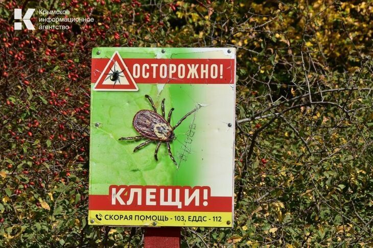 С начала года в Крыму 43 человека заболели клещевым боррелиозом