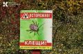 С начала года в Крыму 43 человека заболели клещевым боррелиозом