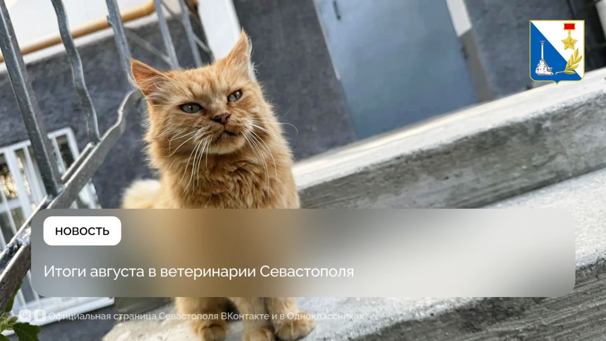 Ветеринарная служба Севастополя в августе организовала сотни проверок продукции и вакцинировала домашних животных