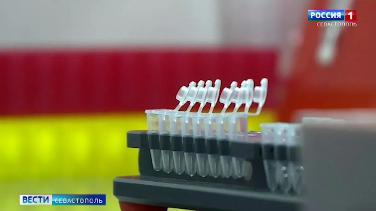 Код жизни: учёные из Севастополя раскрыли секреты работы с генами