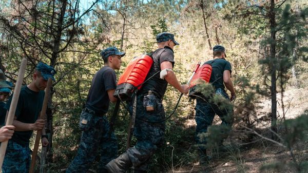 В Севастополе объявлена высокая пожароопасность
