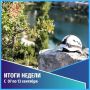 Общественная безопасность. События недели с 7 по 13 сентября