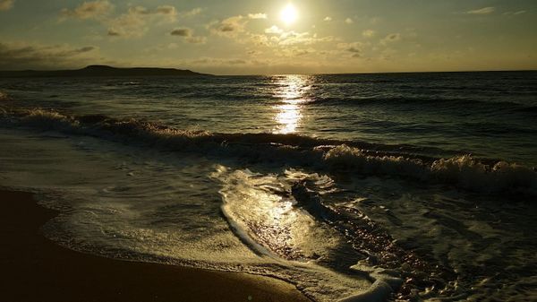 Спасти Азовское море: ученые из Крыма проведут комплексные исследования