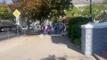 Дельфины начали "пробежку" по избирательным участкам в Севастополе