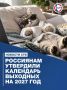 11 дней на отдых: в России утвердили календарь выходных на 2027 год