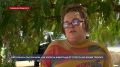 Потерявшийся на Приморском бульваре пёс Примбуль ищет хозяев