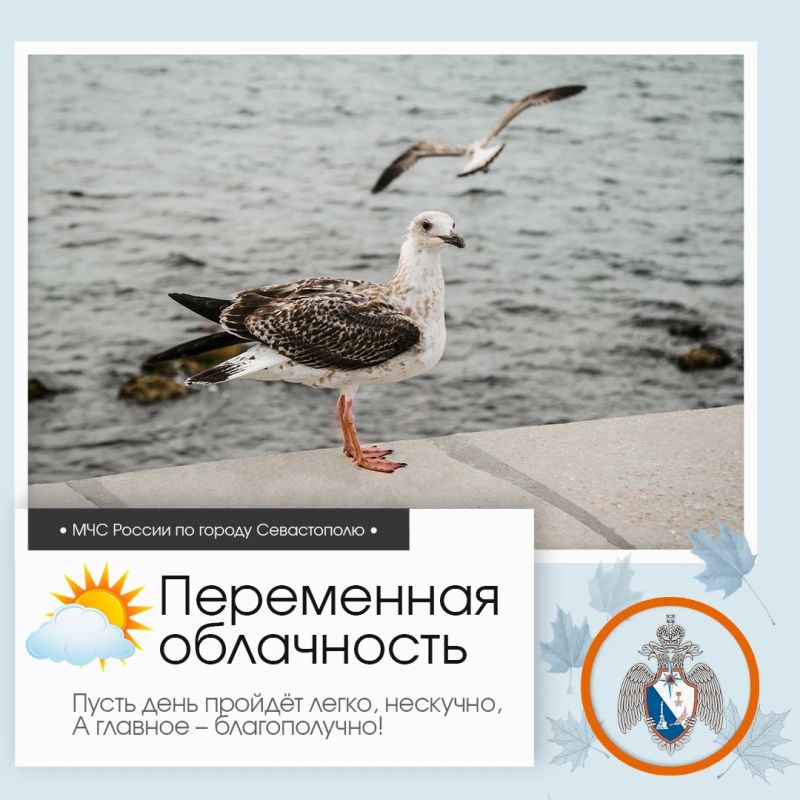 Здравствуй, Севастополь!. По данным гидрометцентра, 18 сентября в Севастополе будет переменная облачность