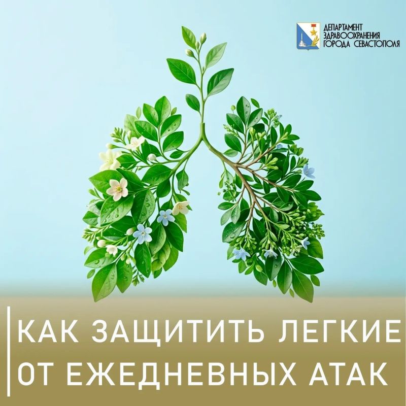Как защитить легкие от ежедневных атак