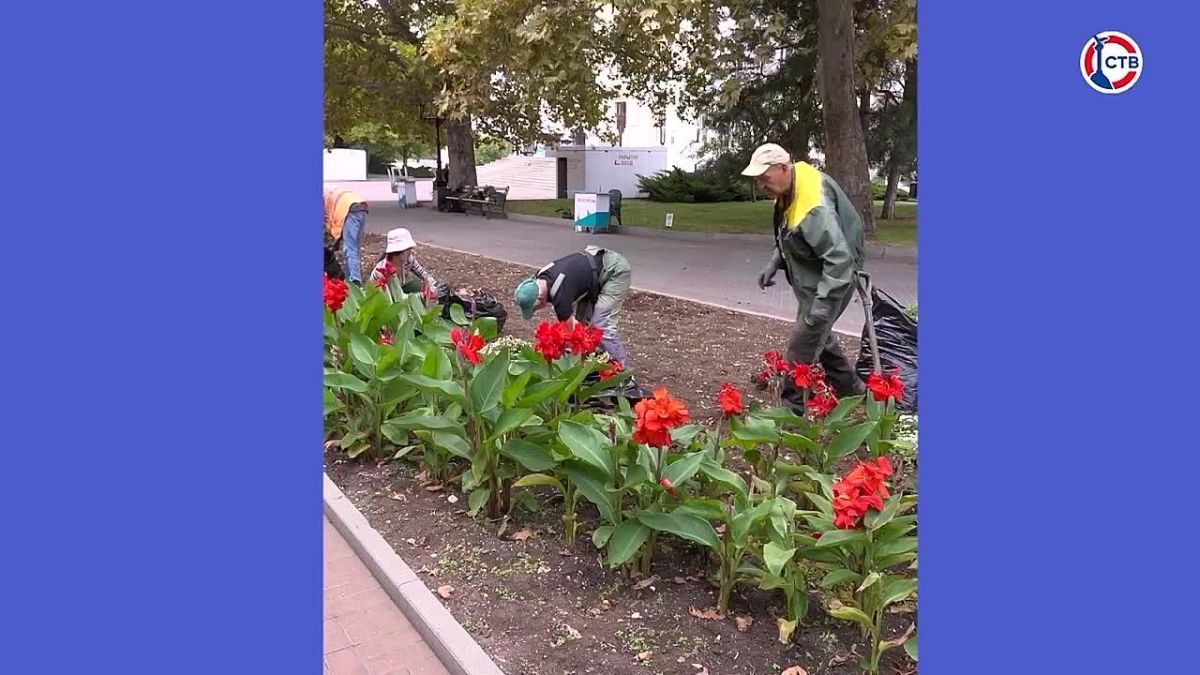 Севастополь сделал свой выбор – завершена обработка протоколов на выборах депутатов Государственной Думы