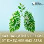 Как защитить легкие от ежедневных атак