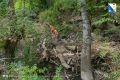 «Севводоресурсы» расчищают реки перед сезоном дождей