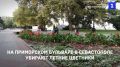 Клумбы на Приморском бульваре готовят к осенним высадкам