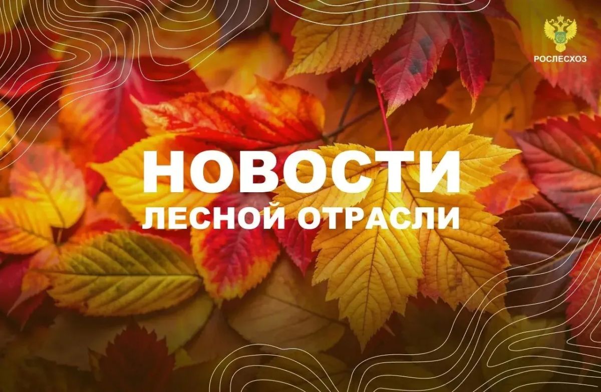ГТРК Севастополь: Севастопольские лесничие готовятся высадить 50 тысяч саженцев деревьев