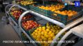 В Севастополе, по данным Росстата, подорожали продукты питания, в том числе подсолнечное и сливочное масло
