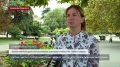 Городские клумбы в Севастополе начали готовить к осенним высадкам
