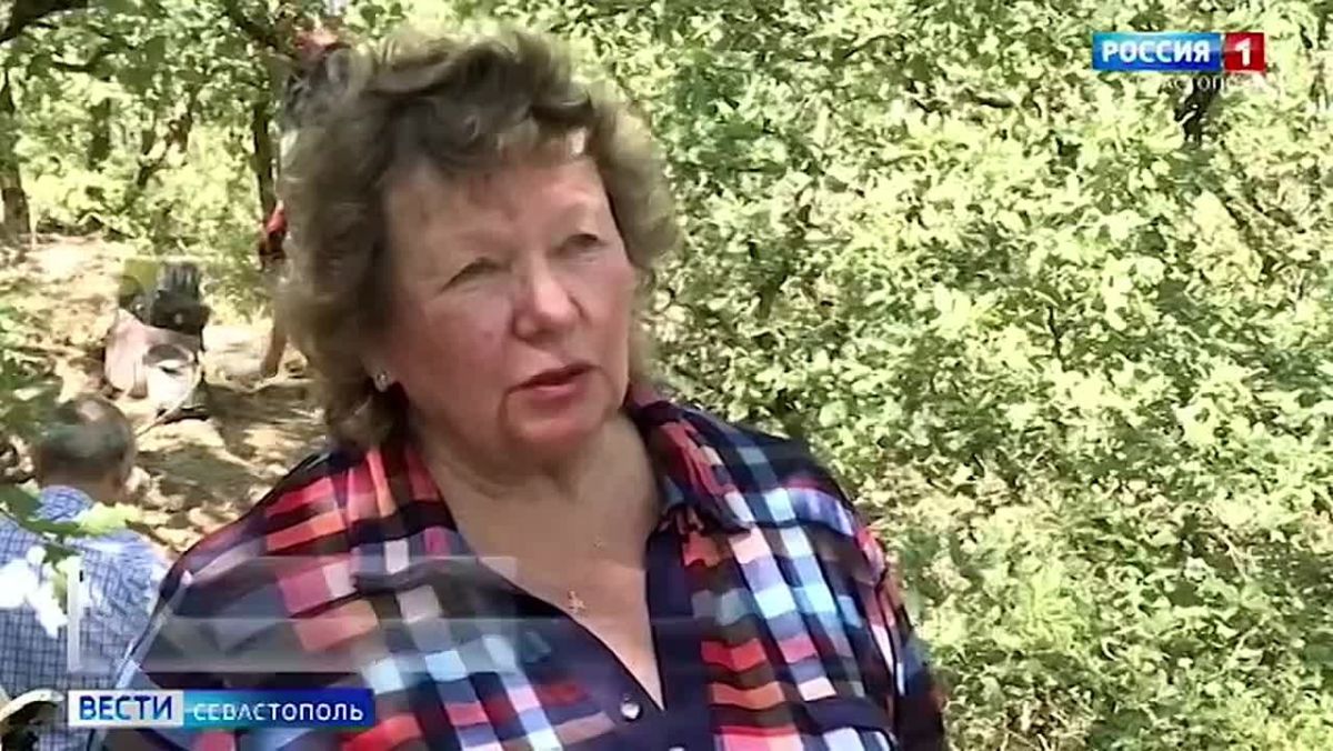 Севастопольские поисковики приступили к активным полевым работам