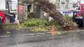 На улице Очаковцев убирают упавшее дерево