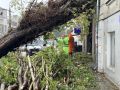 К 13:00 более 110 севастопольцев сообщили о неполадках из-за непогоды