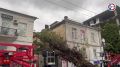 На улице Очаковцев убирают упавшее дерево Городские службы устраняют последствия сильного дождя и ветра